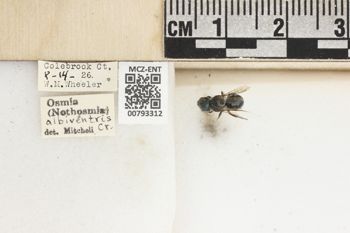 Media type: image;   Entomology 793312 Aspect: Labels